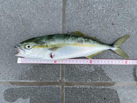 和歌山マリーナシティ大波止