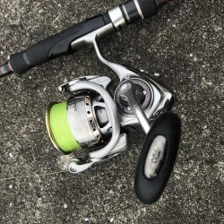 ライトワインドでガシラ&マゴチ