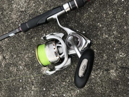 ライトワインドでガシラ&マゴチ