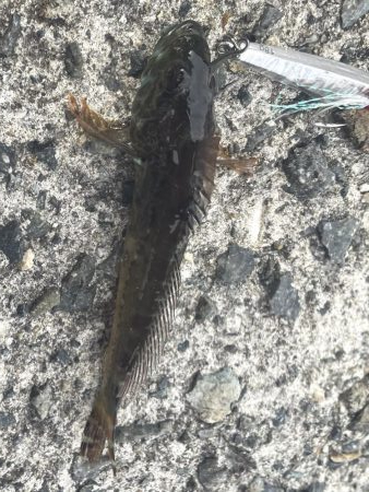 5目達成❗️  成らず、、