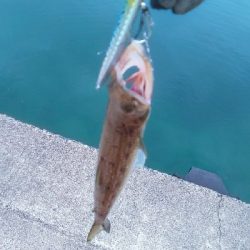 鏡面ベタ凪で苦戦