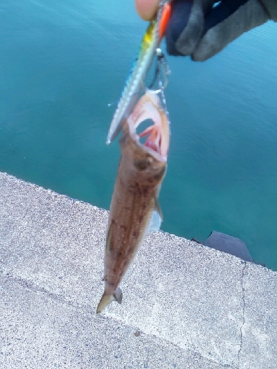 鏡面ベタ凪で苦戦