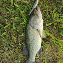 インパクトのある１日。