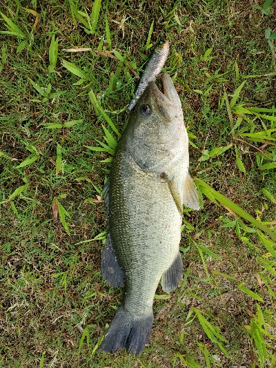 インパクトのある１日。