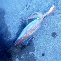 無から一転時合突入