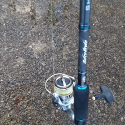 やっぱりサバのみ