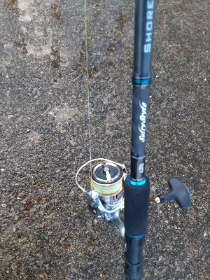 やっぱりサバのみ