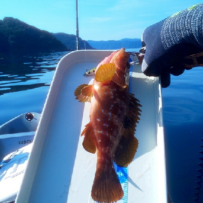 初ｶﾔｯｸﾌｨｯｼﾝｸﾞ