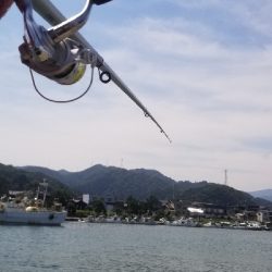 びっくり鯵、平目、鱚