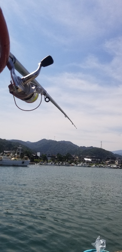 びっくり鯵、平目、鱚