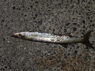 仕事終わりに②