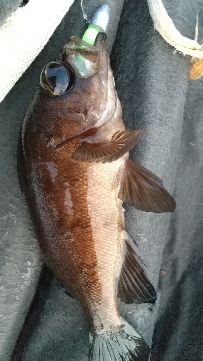 またまた仕事帰りに