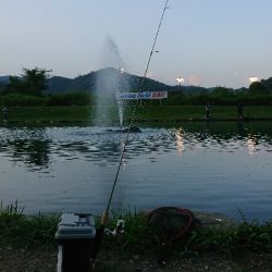 フィッシングフィールド中津川でのエリアトラウト