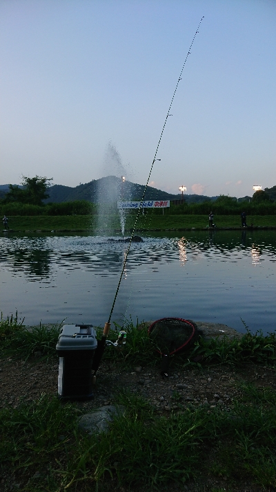 フィッシングフィールド中津川でのエリアトラウト