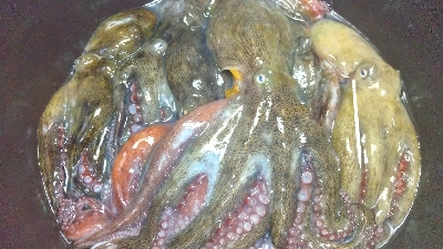 雨の中沖堤防で