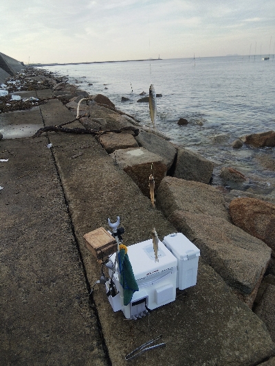 苅屋海岸のキス釣り