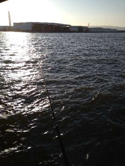 強風の中、ルアーチェンジ１投目にヒット