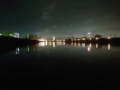 何か釣れるかな釣行