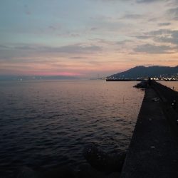 ロックフィッシュ釣行