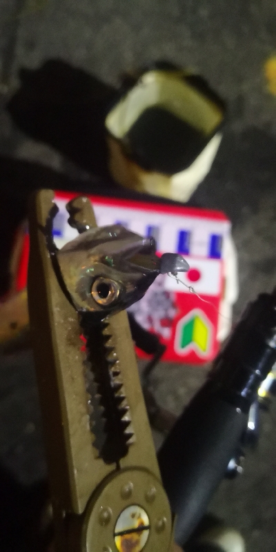 アジング練習　306