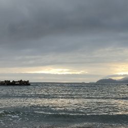 久しぶりのキス狙い