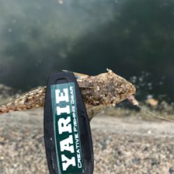 のんびりチョイ投げ