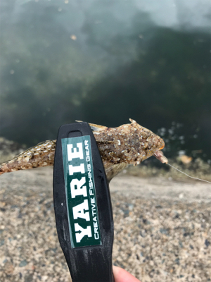 のんびりチョイ投げ