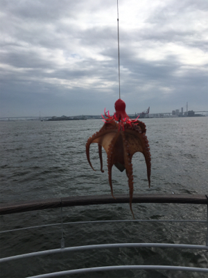 丁寧にタコ散歩して8杯。。