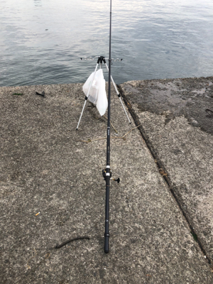 ハマチ？メジロ？