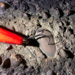 あと2cm！悔ーーー