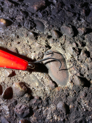 あと2cm！悔ーーー