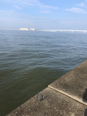 楽しい釣り仲間と久しぶりの釣行