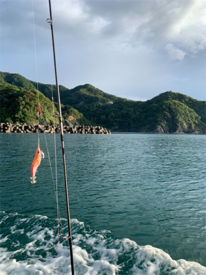 香住　イカメタル