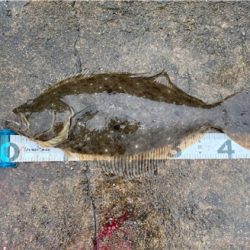 フラットゲーム