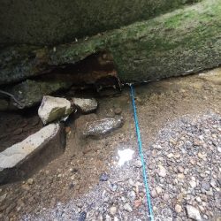 穴釣で2本ヒット