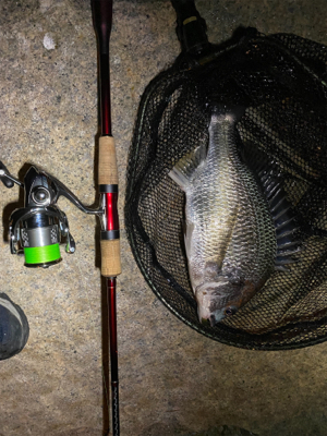 チニング 目標は時速10匹