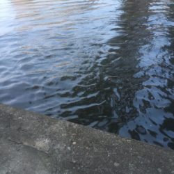 ワクチン接種後釣行