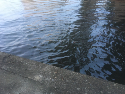 ワクチン接種後釣行