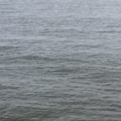 オクトパッシング