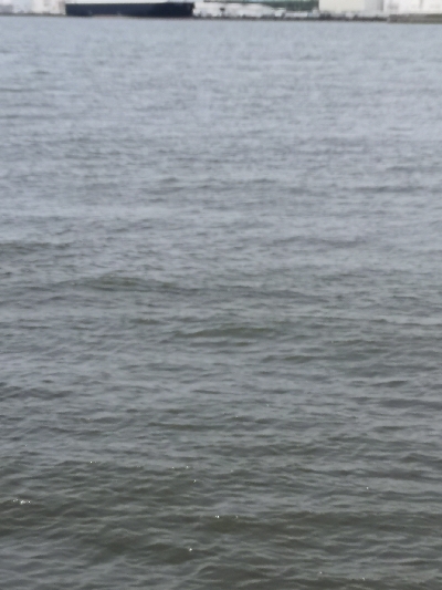 オクトパッシング