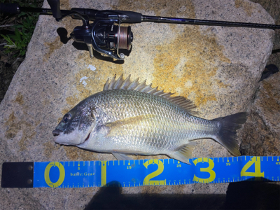 淀川ブリームゲーム