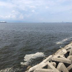 サビキと穴釣り