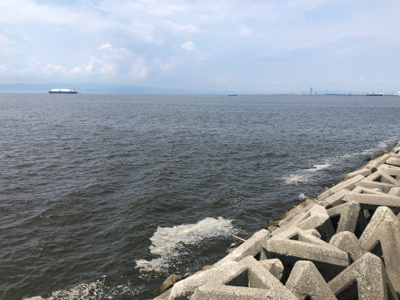 サビキと穴釣り