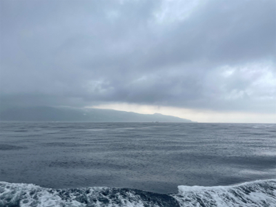 大島でマグカツ