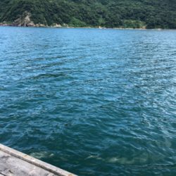 今日は福井遠征