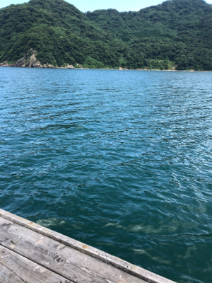 今日は福井遠征