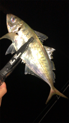 仕事帰りのアジングナイト