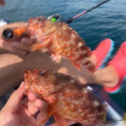 ゴムボート進水式!