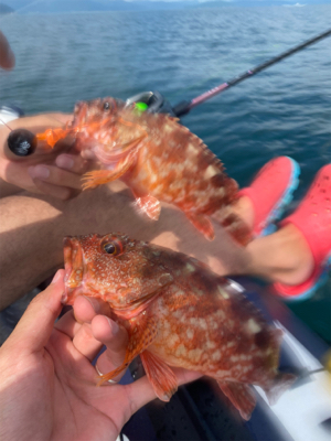 ゴムボート進水式!