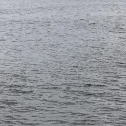 オクトパッシング